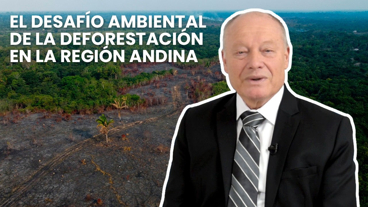 El desafío ambiental de la deforestación en la región Andina