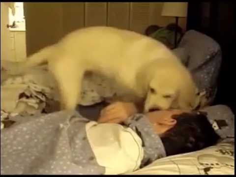 Dog - best human clock!
