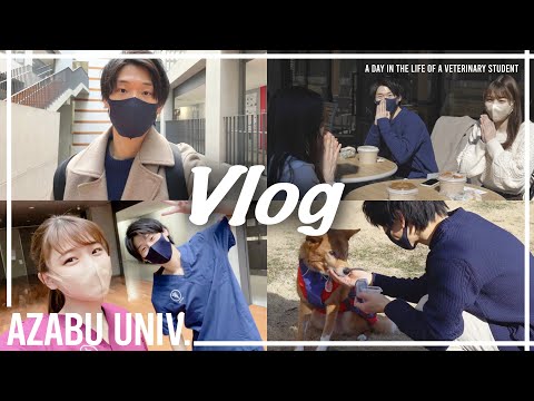 【Vlog】獣医学生の1日🌱麻布大学｜大学生の日常｜A Day in The Life of a Vet Student