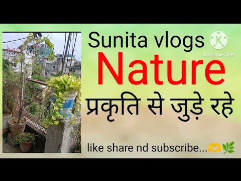 Nature Sunita Vlog @sunitabeauty salon.7