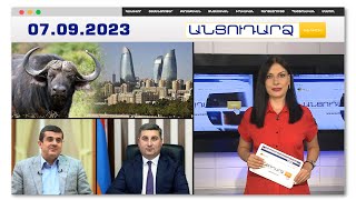 Հարձակում Բաքվի փողոցներում. գոմեշը վնասել է մարդկանց
