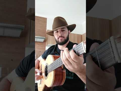 Brincando Com A Viola - Solo (Vinícius Violeiro)