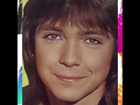 DAVID CASSIDY TRIBUTE-DAYDREAMER