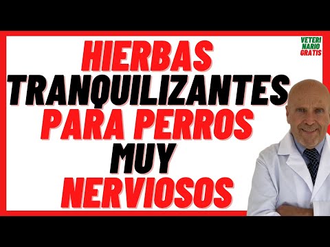 Natural Tranquilizing Herbs (Chamomile, Tila, Valerian) 🟢Relaxing For Nervous Dogs