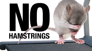 Treadmill Workout Fail (NOT GOOD!)