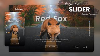Responsive Full-Screen Image Slider | Next/Prev, Auto-play & Button Navigation - HTML CSS Javascript