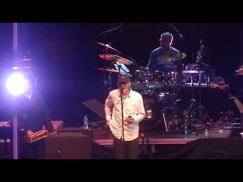 'The Man' Michael Franks - "Rainy Night In Tokyo" (LIVE)
