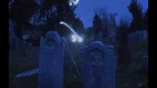 preview picture of video 'SCARY ORBS IN GRAVEYARD'