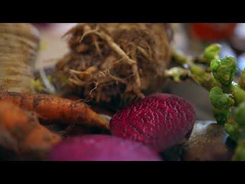 Kytkofarma - místo, kde má příroda zelenou