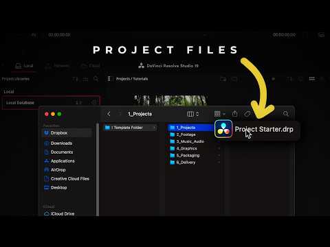 How to Organize Files in DaVinci Resolve (Beginner-Friendly System)