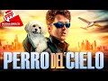 EL PERRO DEL CIELO Película Completa Muy DIVERTIDA De ESPÍAS PARA VER En FAMILIA En Español