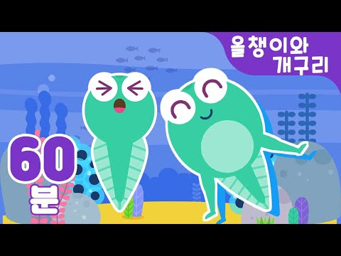 올챙이와 개구리 율동동요 모음 60분♬ 꼬물꼬물 올챙이가 뒷다리가 쑥~ 앞다리가 쑥~ 특집 | 유치원동요 | 지니키즈 율동동요