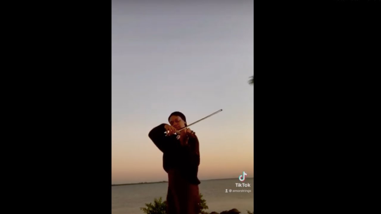 Promotional video thumbnail 2 for Amor Strings