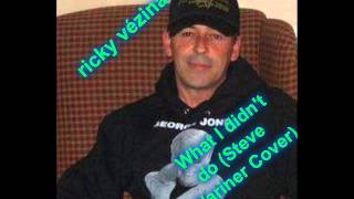 Ricky Vezina - What I didn&#39;t do (Steve Wariner Cover).
