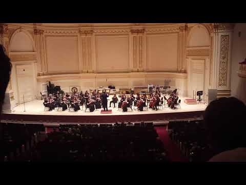 MPVA Sinfonia Carnegie Hall October