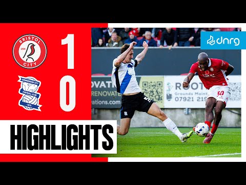 bg-highlight