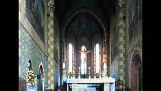 preview picture of video 'Cattedrale di Chieri (provincia di Torino)'