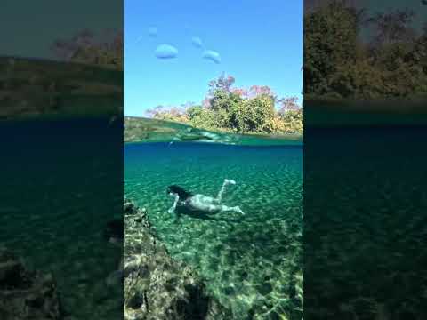 Uma das águas mais cristalinas do Tocantins. Lagoa do Japonês, Serras Gerais.