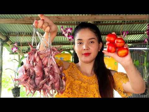 Wow!Yummy Cooking Frog With Tomatoes Recipe - Cooking Skill-Cambo Cooking TV