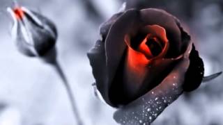 Olivia Newton John - Love Is Letting Go Of Fear ❧