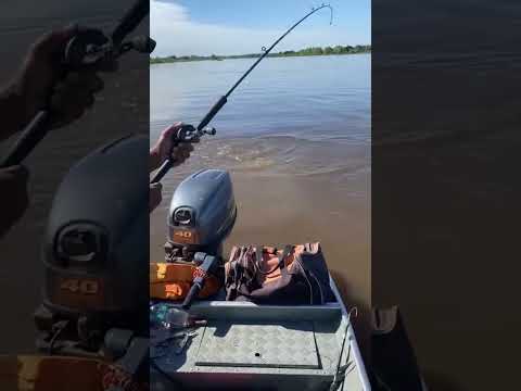 Pousada Yaguareté Una opción ideal para descansar, disfrutar de buena comida, #pesca #fishing