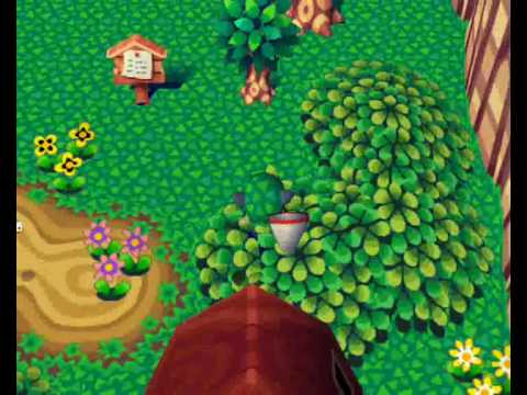 Animal Forest (N64) - How to catch a bee in 10 steps