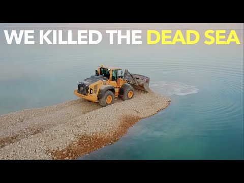 我々は死海を殺した (We Killed The Dead Sea)