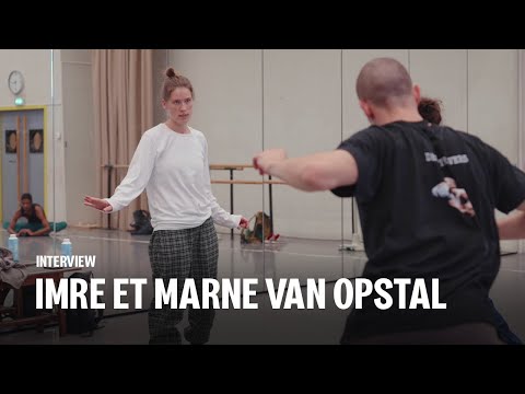 IMRE ET MARNE VAN OPSTAL à propos de Drift wood (interview)