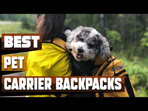 Best Pet Carrier Backpack In 2022 - Top 10 Pet Carrier Backpacks Review