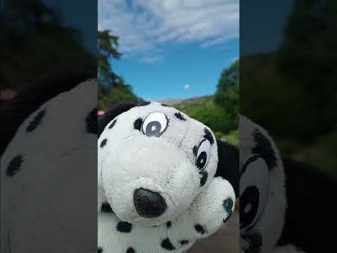 Stinky visita La Cumbrecita en Córdoba.