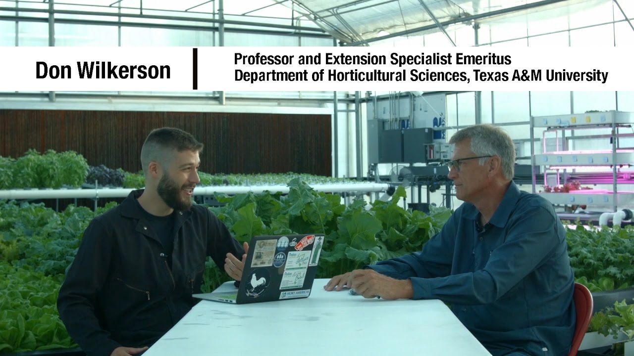 Essential Plant Nutrients - Part 1