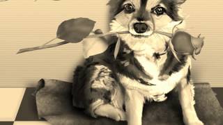 Amos milburn - Amos blues