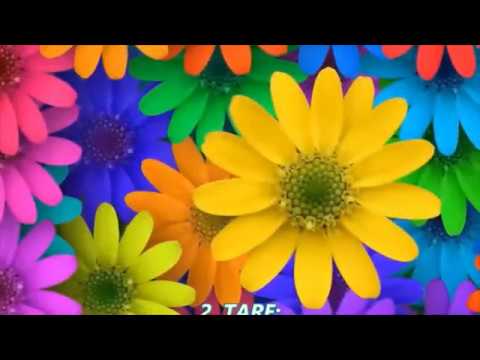 Gyógyító kód kezelő zene 12 percben (om tare tuttare)