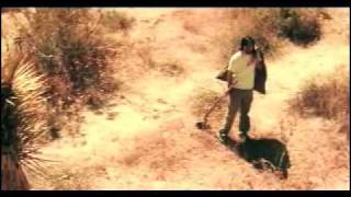 Sigh &quot;Midnight Sun&quot;