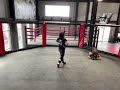 Nutshot 2
