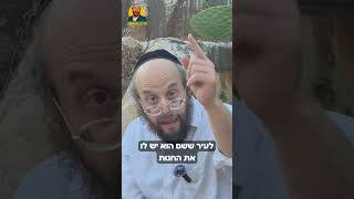 העני, היהלום ורב החובל   הסיפר המלא
