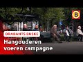 Is de Moeierboom de mooiste van heel Nederland? | Brabants Buske