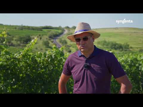 Testimonial tehnologie viță de vie LacertA, județul Buzău