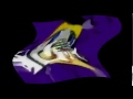 Klasky Csupo In Wiggle Major Jipecubed
