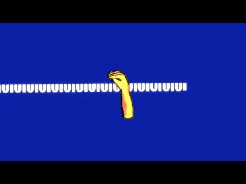 PapaBoyz - ERROR (official Lyric Video)