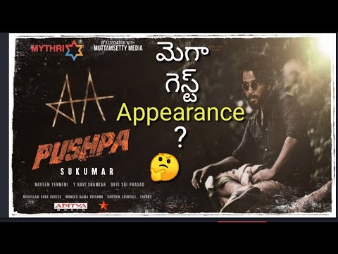 Mega Surprise Mega Hero Guest  Appearance in Pushpa?
