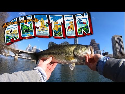 YouTube video about: Where to fish on lady bird lake?