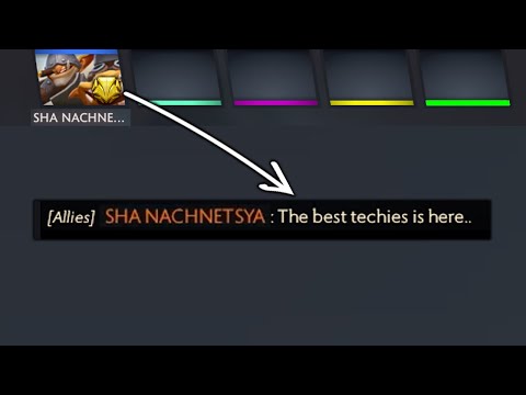 I sent my teammate this message after 1st pick techies, Gaben, Please help me!!