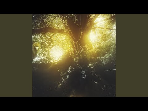 Complex (feat. Trilla)