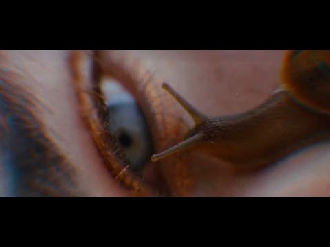 Sebastian Urdiales - Contracorriente (Video Oficial)