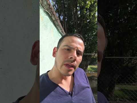 Presentación 