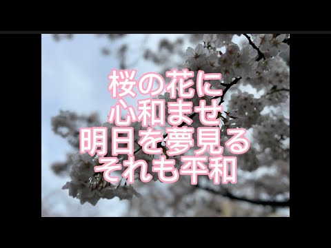 哲学科 桜さん、また来年も咲いてね❣️