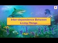 Inter Dependence Between Living Things Science For Kids Periwinkle