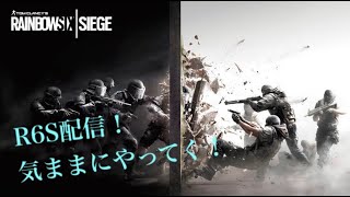 久々にシージ