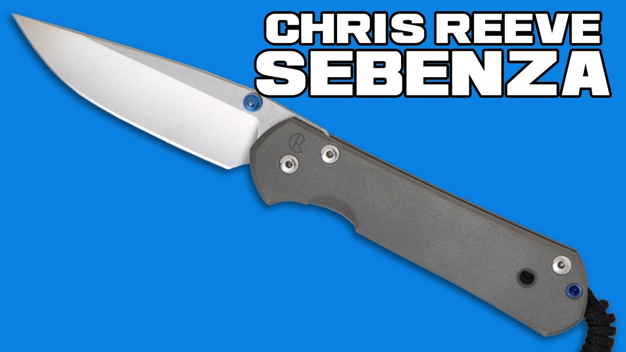 Chris Reeve Large Sebenza 21 Knife w/ Gabon Ebony Inlay (3.625" Plain)